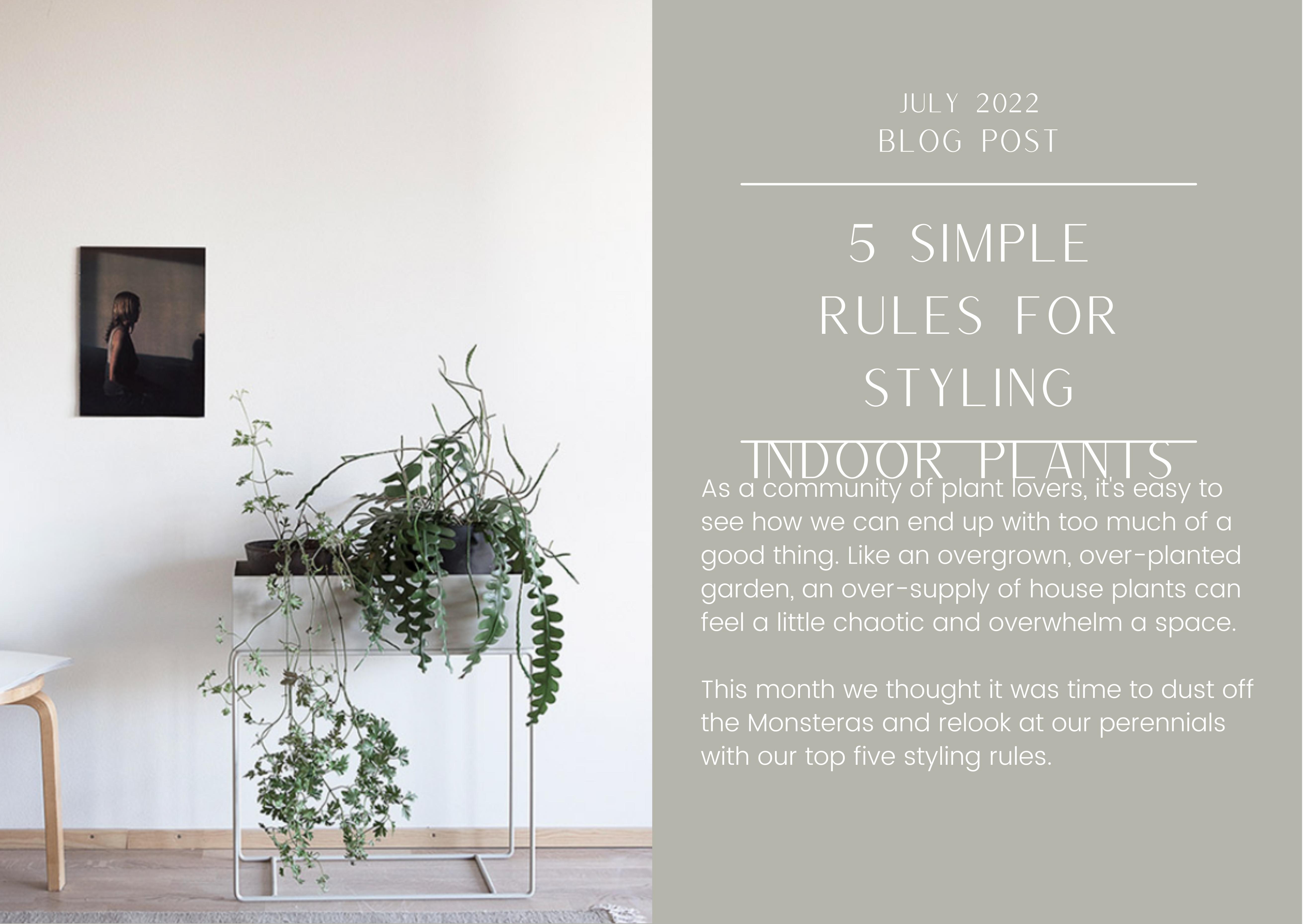 5 Simple Rules For Styling Indoor Plants